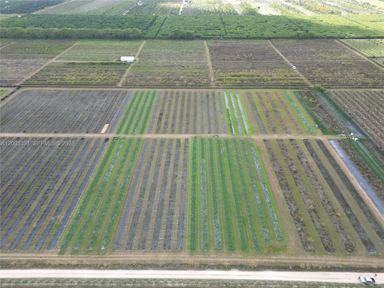 34000 SW 222th Ave, Homestead FL 33034 — 3
