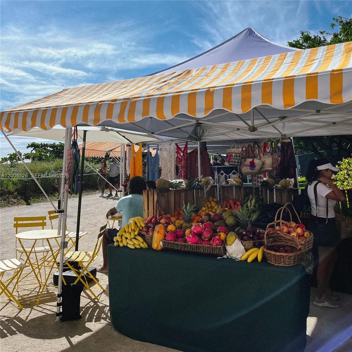 9048 Carlyle Ave, Surfside FL 33154 — 22