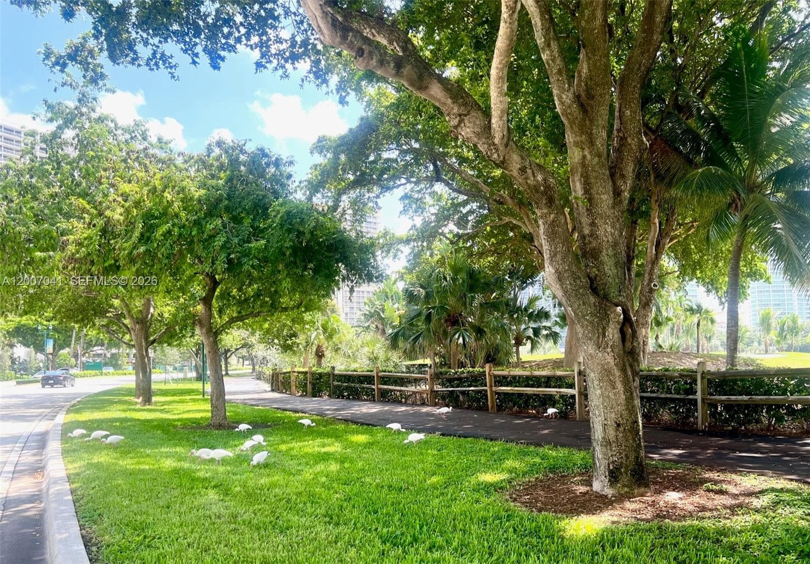 20505 E Country Club Dr # 836, Aventura FL 33180 — 56