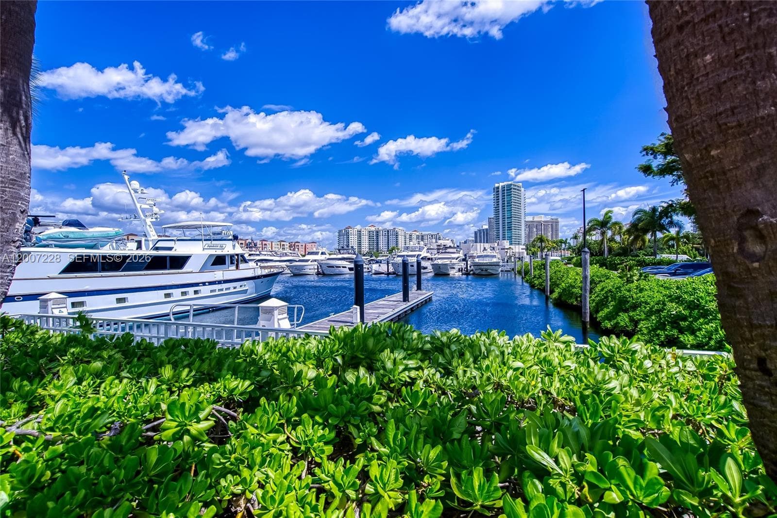 Marina Tower Condo, Aventura, FL — 60