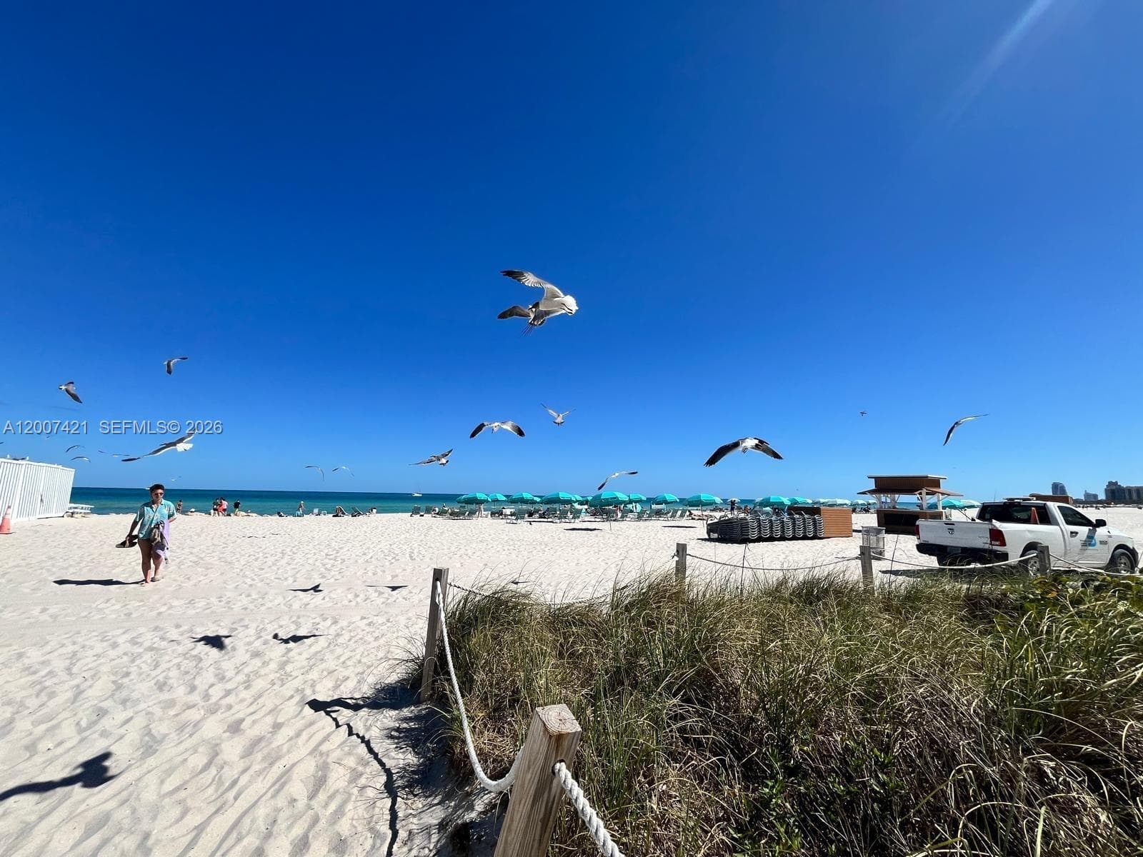 2899 Collins Ave # 1040, Miami Beach FL 33140 — 18