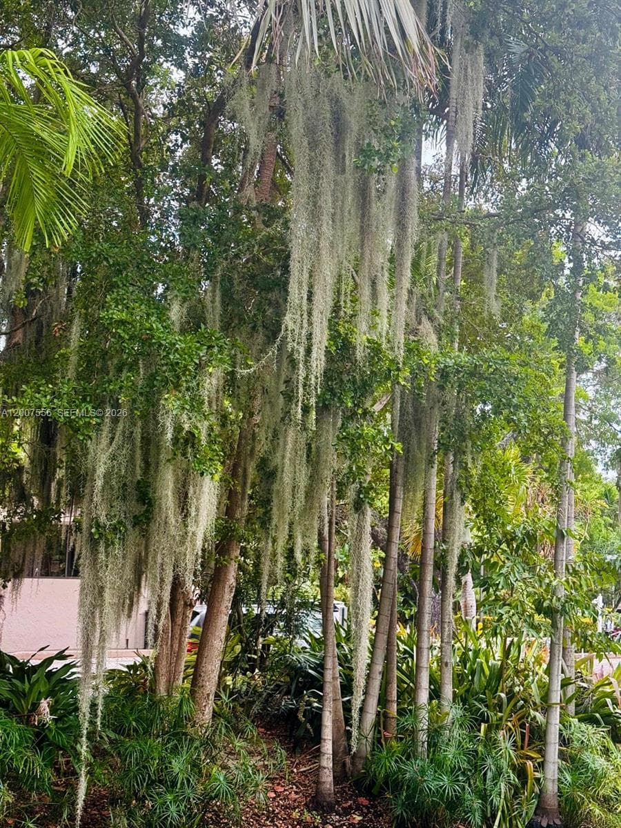 101 E Crandon Blvd # 276, Key Biscayne FL 33149 — 38
