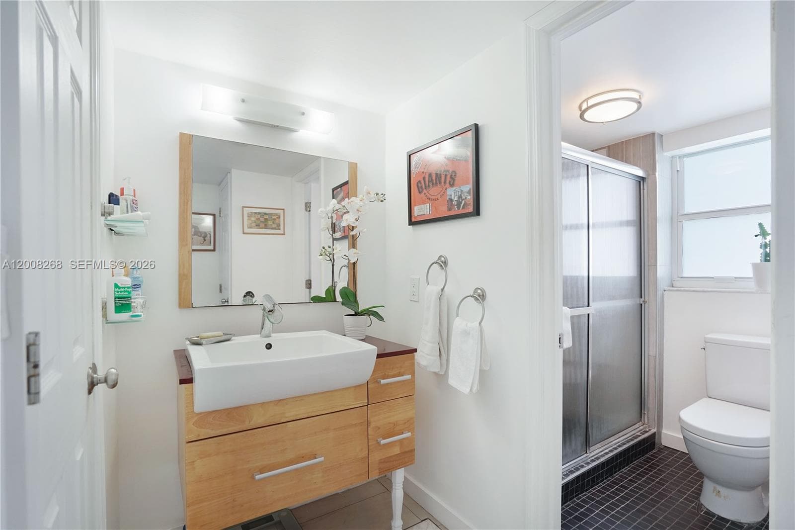 245 18th St # 605, Miami Beach FL 33139 — 24