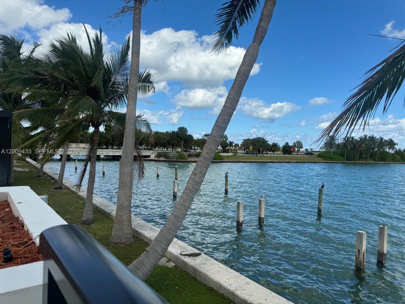 600 NE 36th St # 1109, Miami FL 33137 — 45