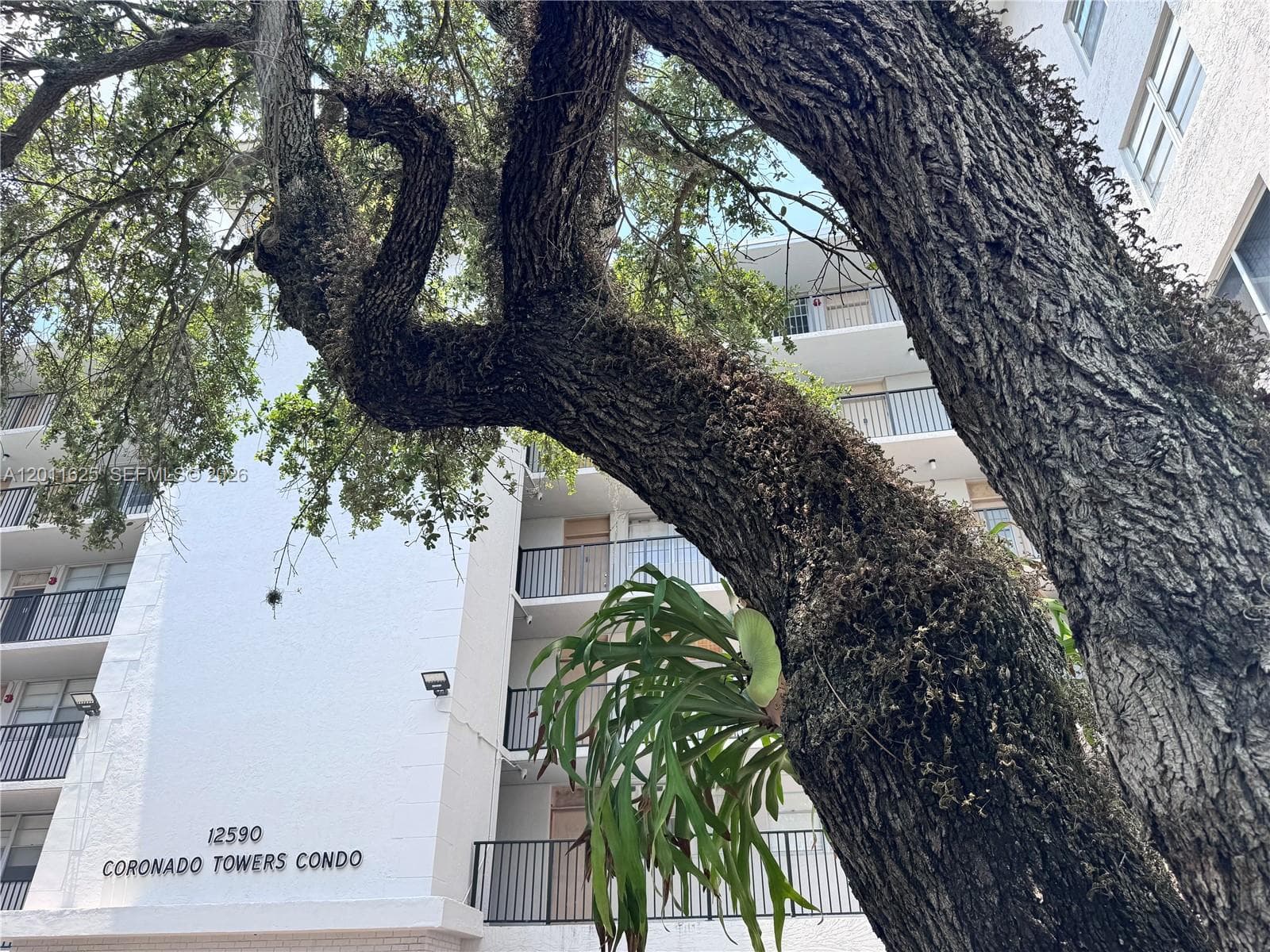 12590 NE 16th Ave # 209, North Miami FL 33161 — 2