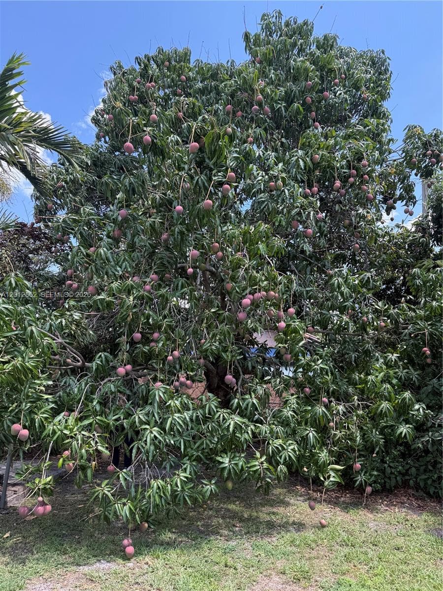 399 W 12th St, Hialeah FL 33010 — 28
