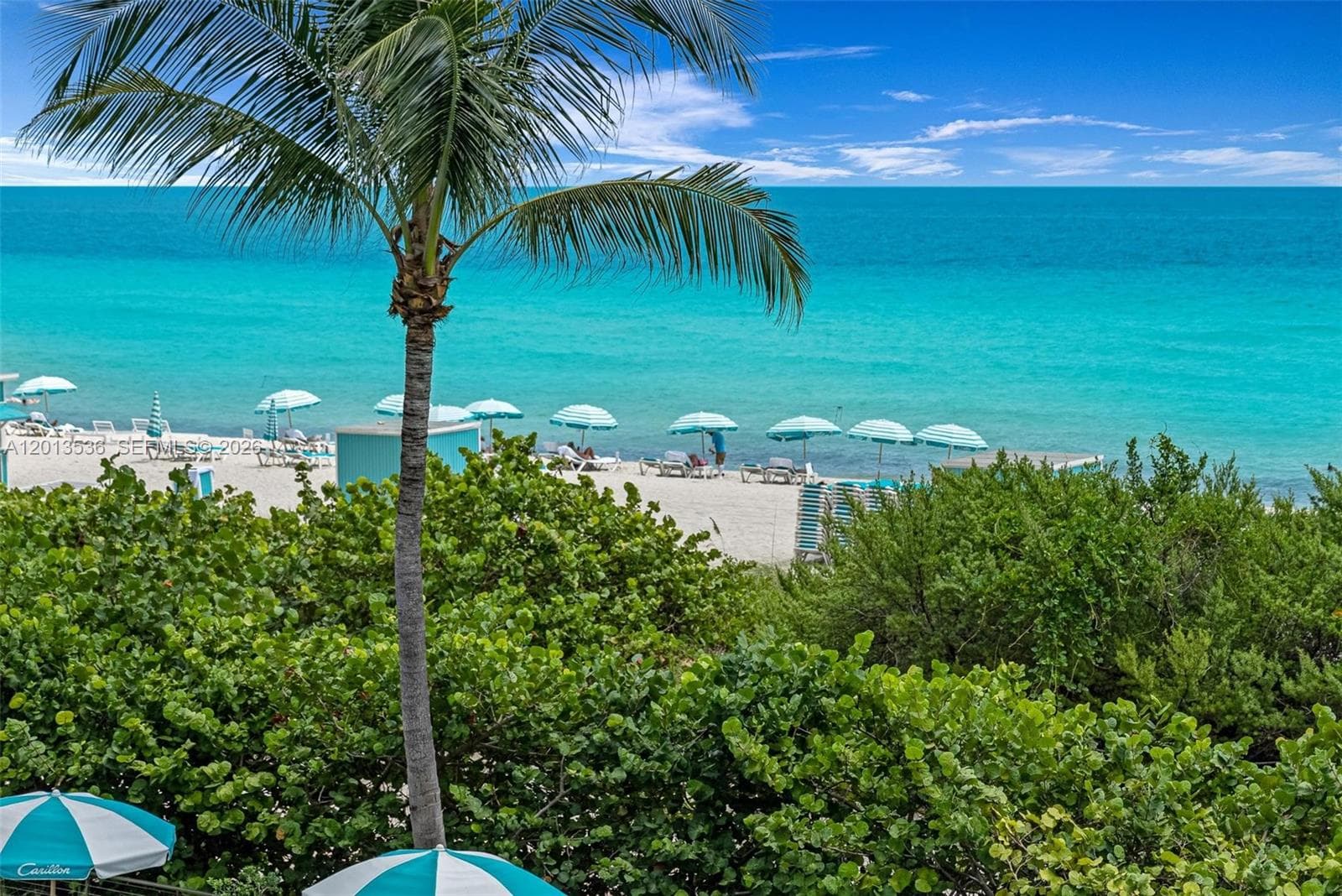 6799 Collins Ave # 205, Miami Beach FL 33141 — 6