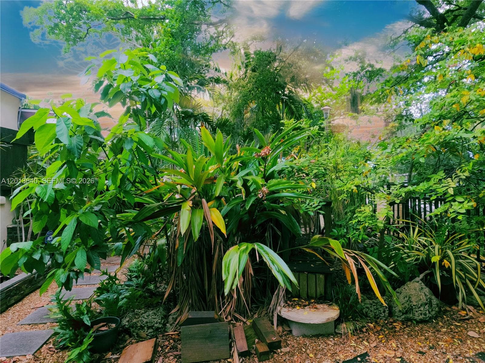Sunkist Grove, North Miami, FL — 6