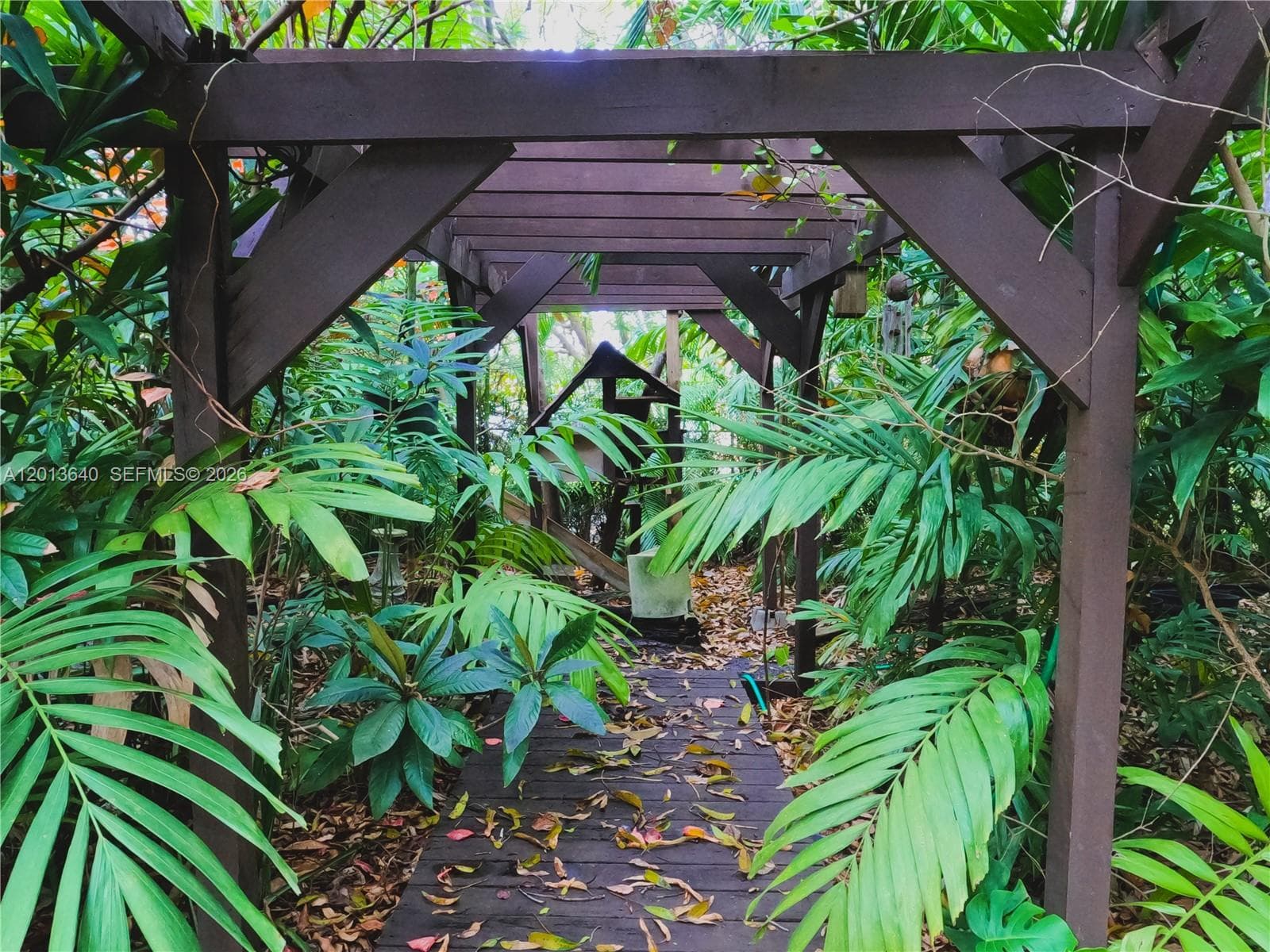 Sunkist Grove, North Miami, FL — 34