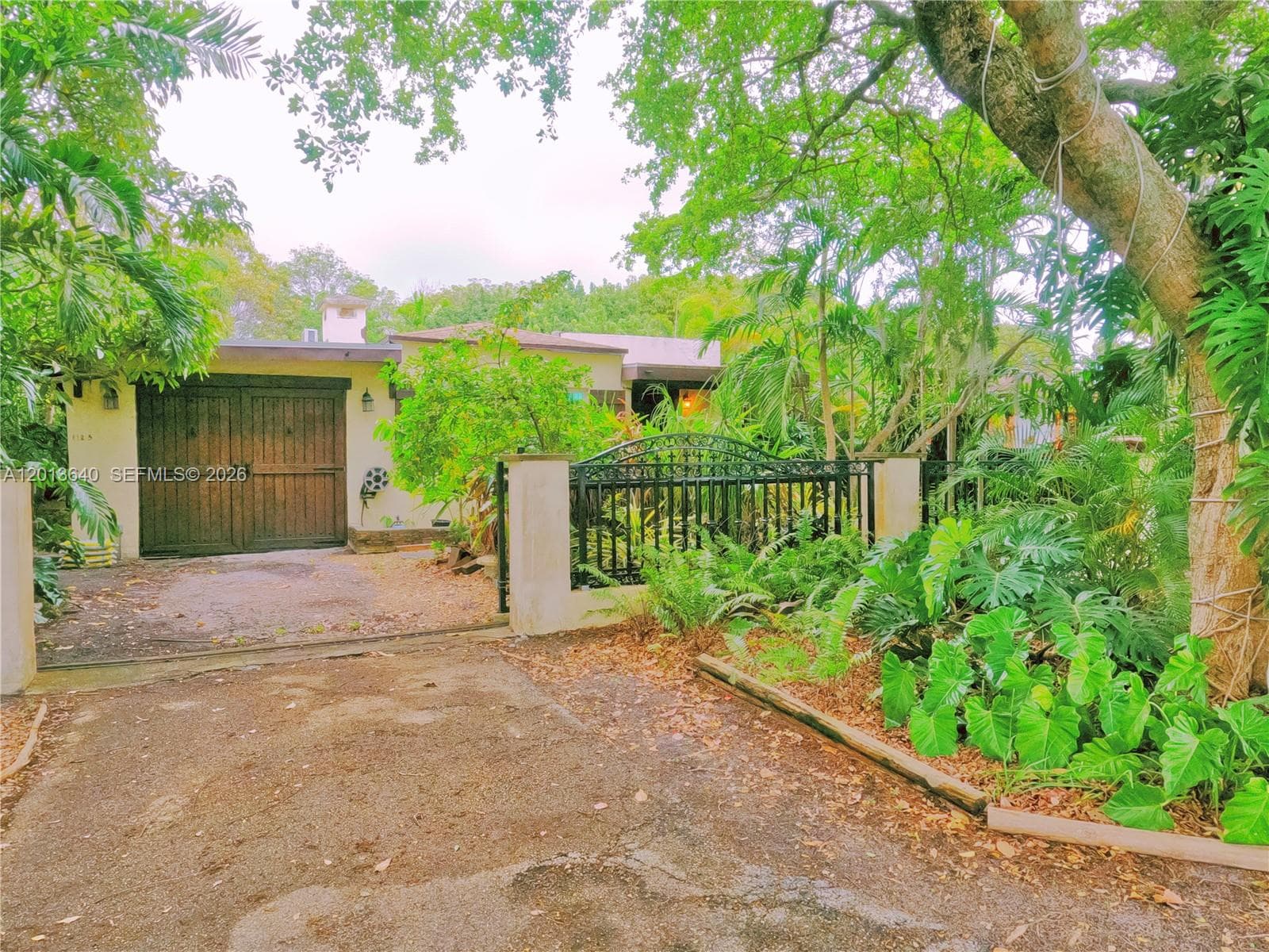 Sunkist Grove, North Miami, FL — 4