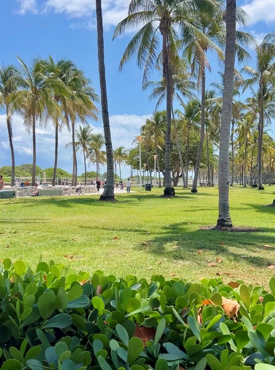 901 Collins Avenue # 209, Miami Beach FL 33139 — 22