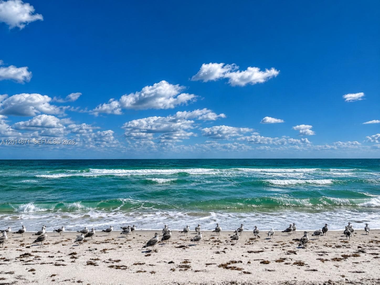 6917 Collins Ave # 614, Miami Beach FL 33141 — 37