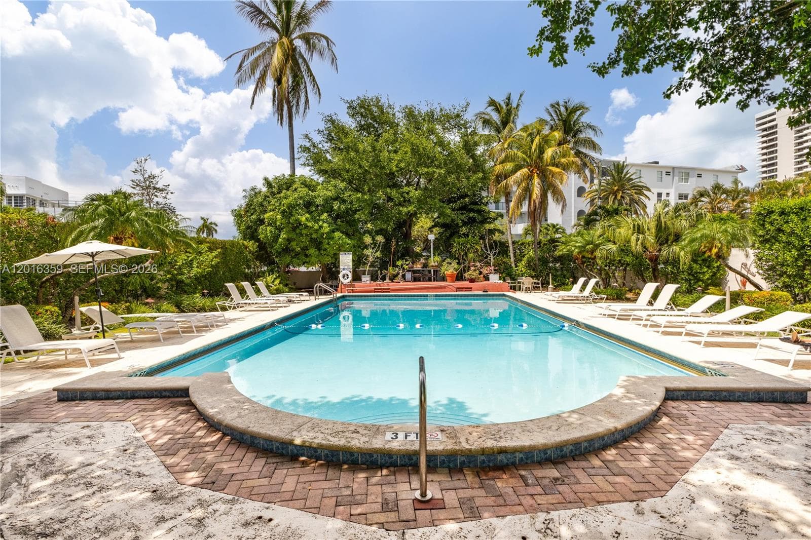255 W 24th St # 432, Miami Beach FL 33140 — 13