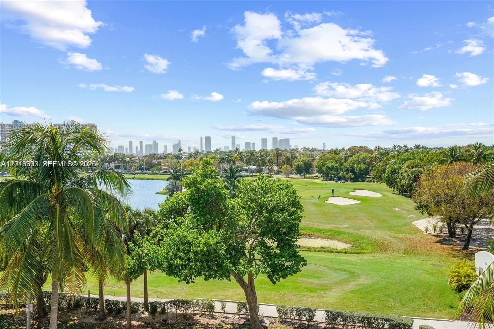 2001 Meridian Ave # 523, Miami Beach FL 33139 — 29