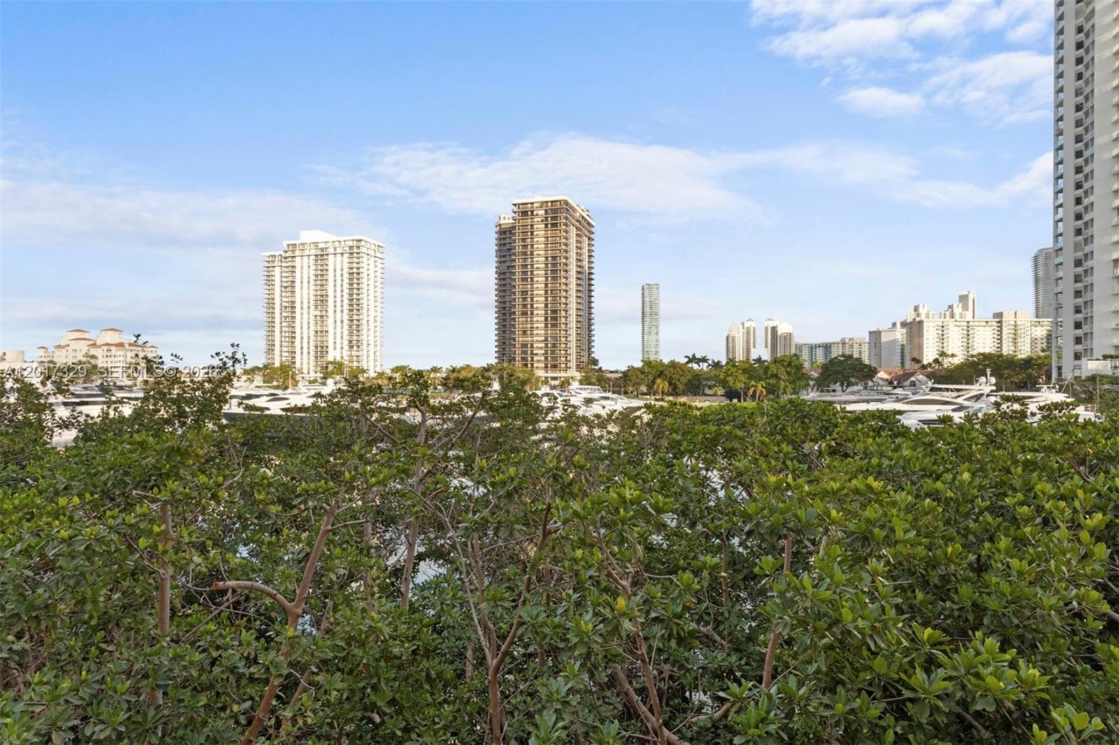 19655 E Country Club Dr # 6304, Aventura FL 33180 — 17
