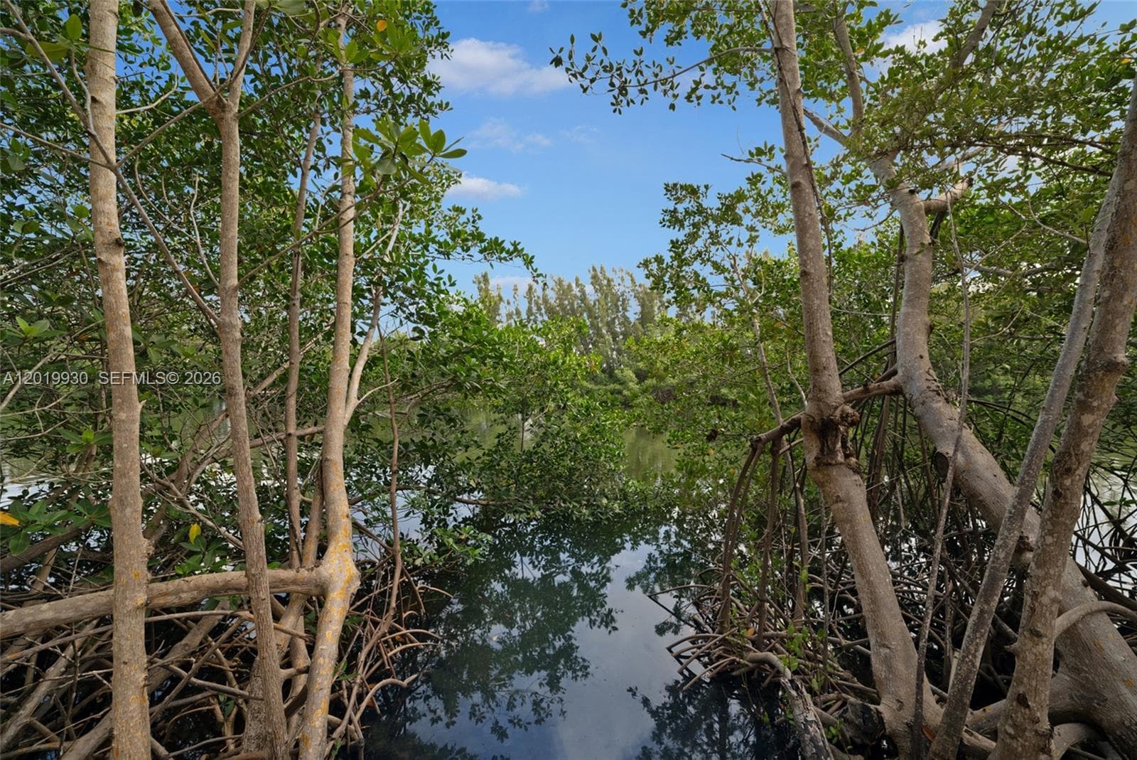 6226 Paradise Point Dr, Palmetto Bay FL 33157 — 19