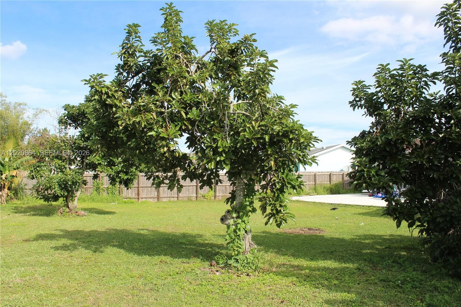 496 SW 9th Ave, Florida City FL 33034 — 22