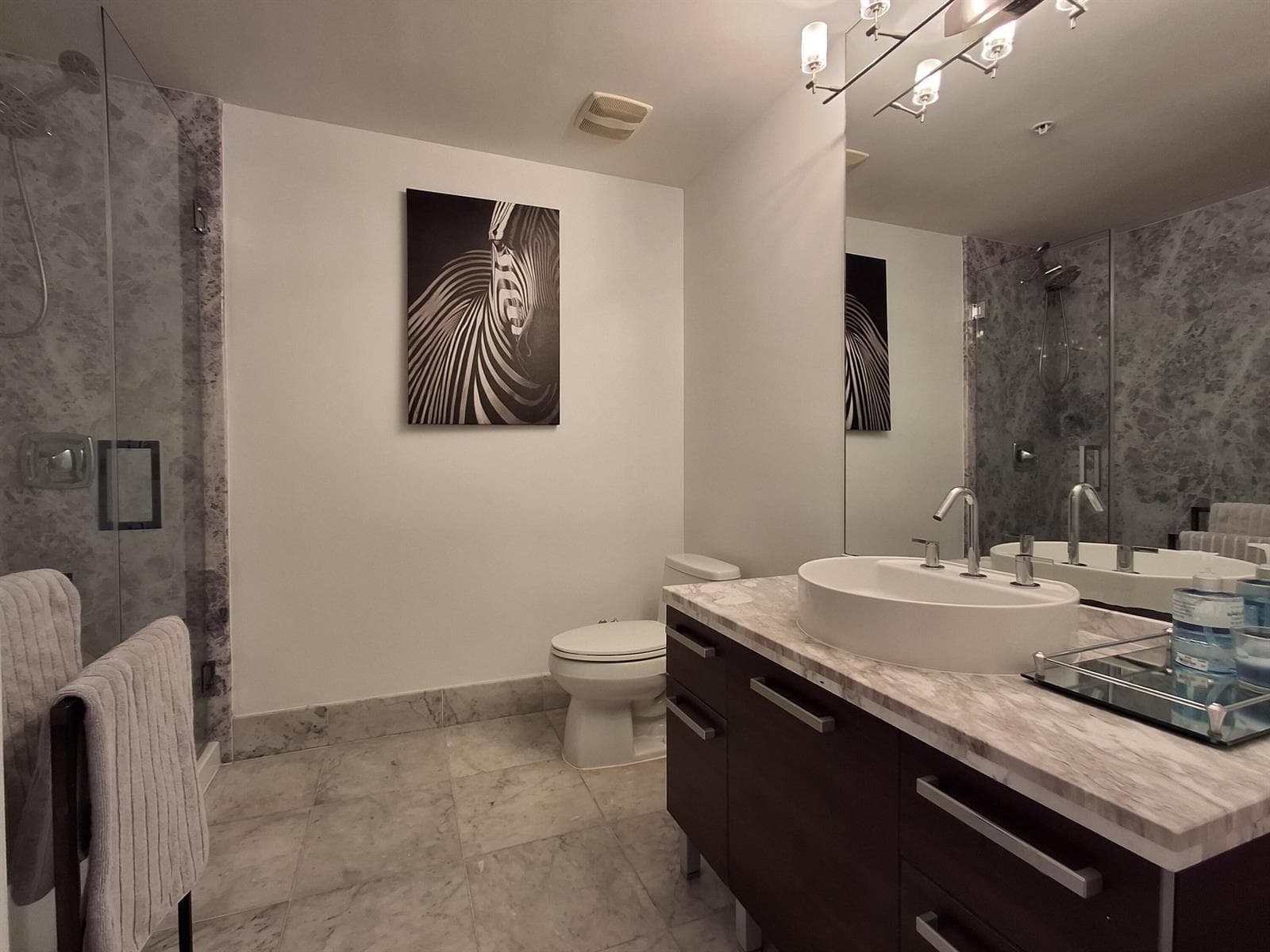 244 Biscayne Boulevard # 2805, Miami FL 33132 — 11