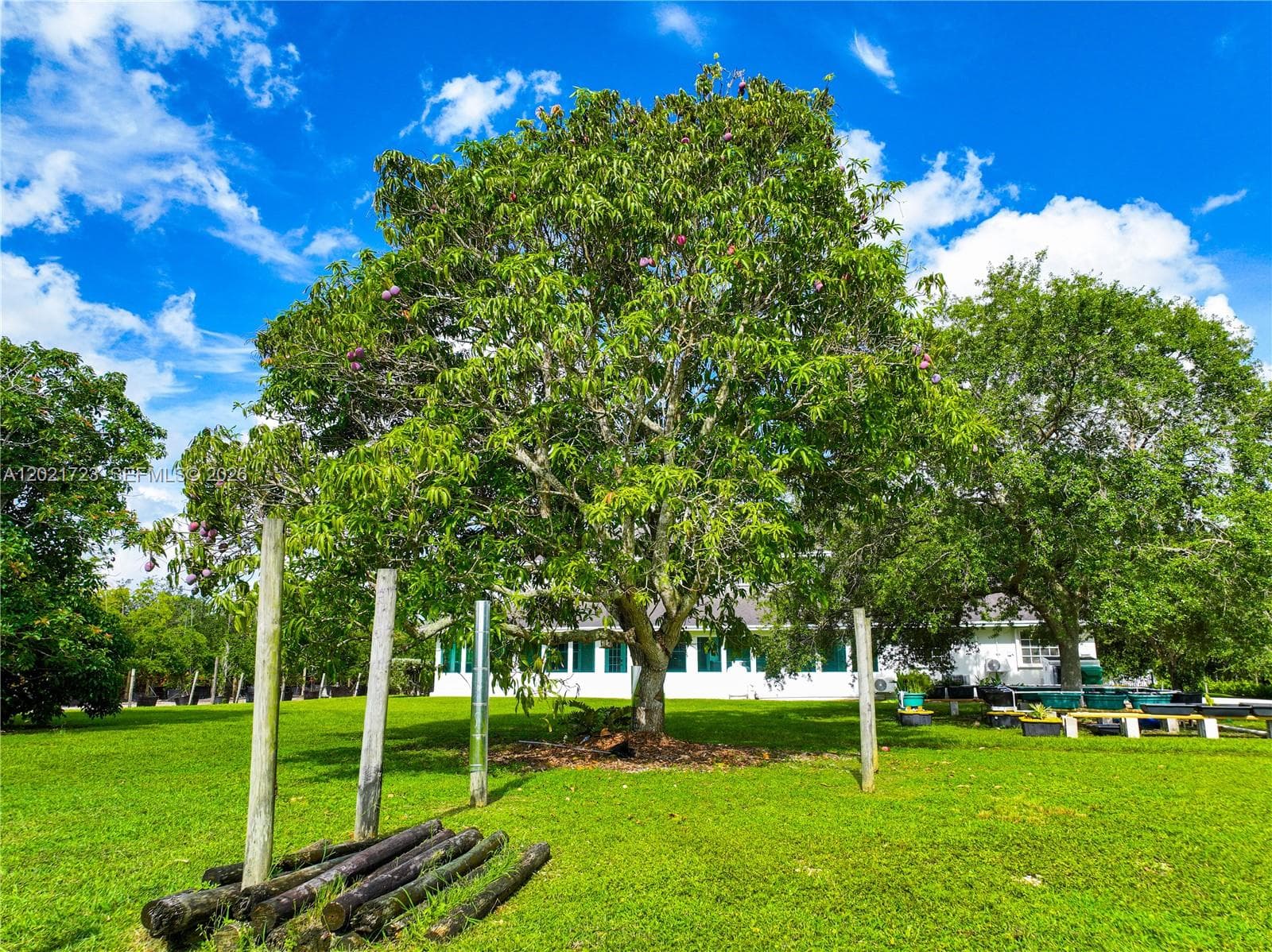 24545 SW 192nd Ave, Homestead FL 33031 — 92