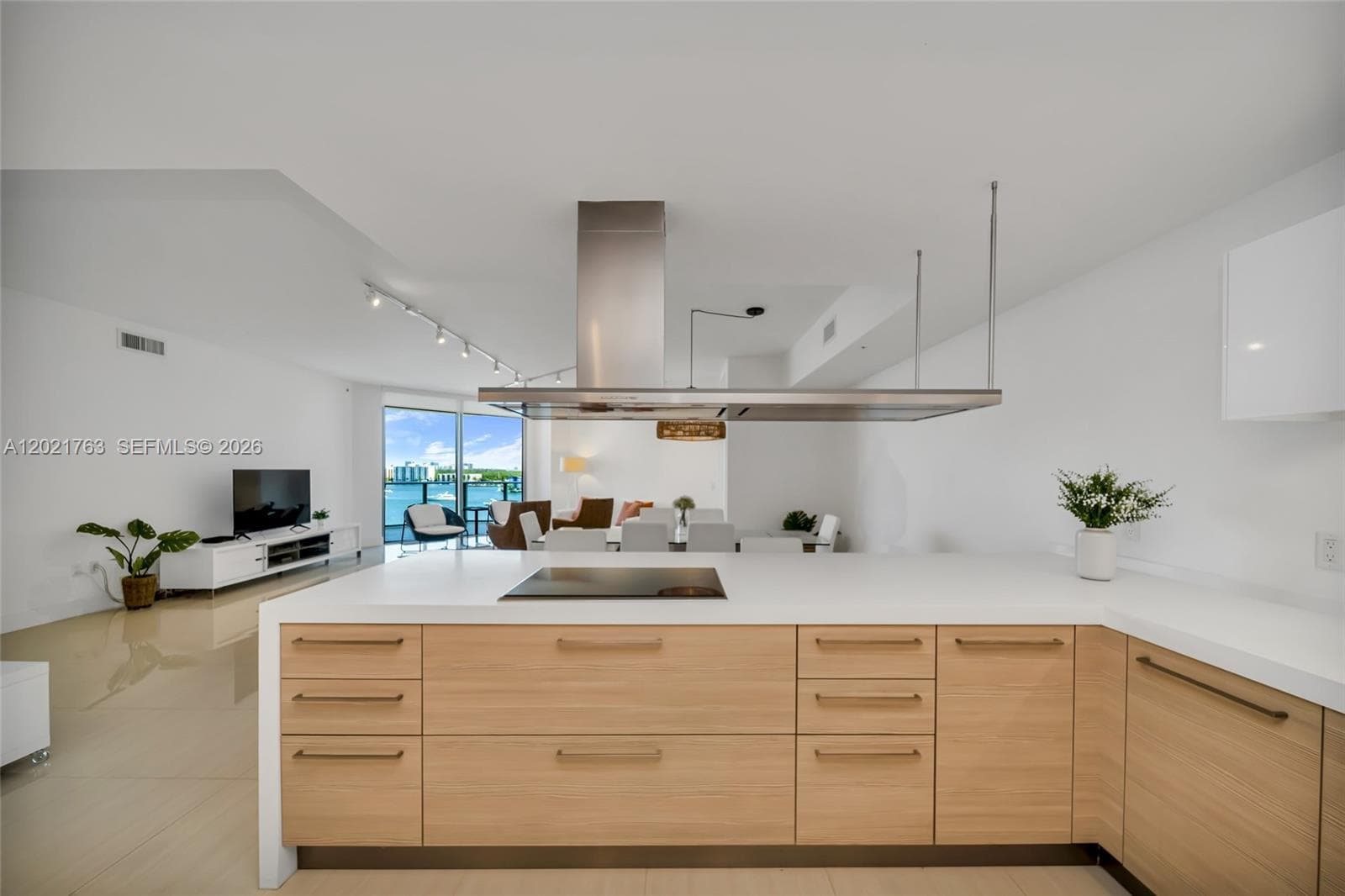 17301 Biscayne Blvd # 907, North Miami Beach FL 33160 — 13
