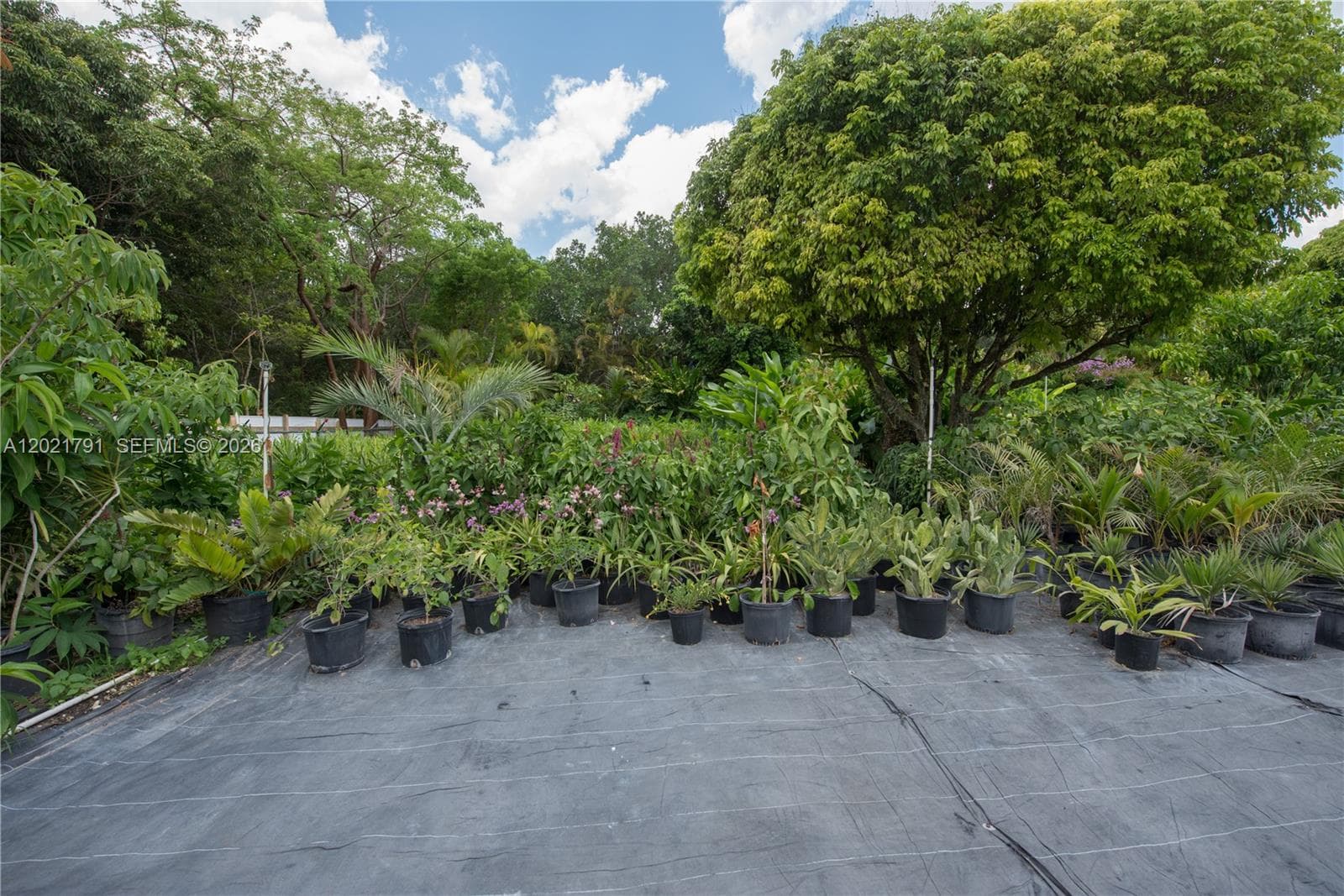 16970 SW 264th St, Homestead FL 33031 — 41