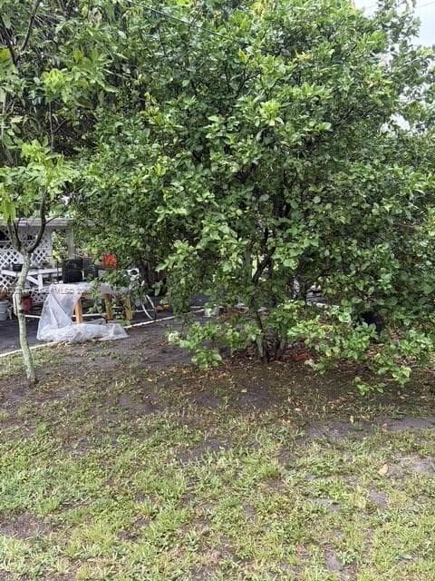 336 E 41st St, Hialeah FL 33013 — 11