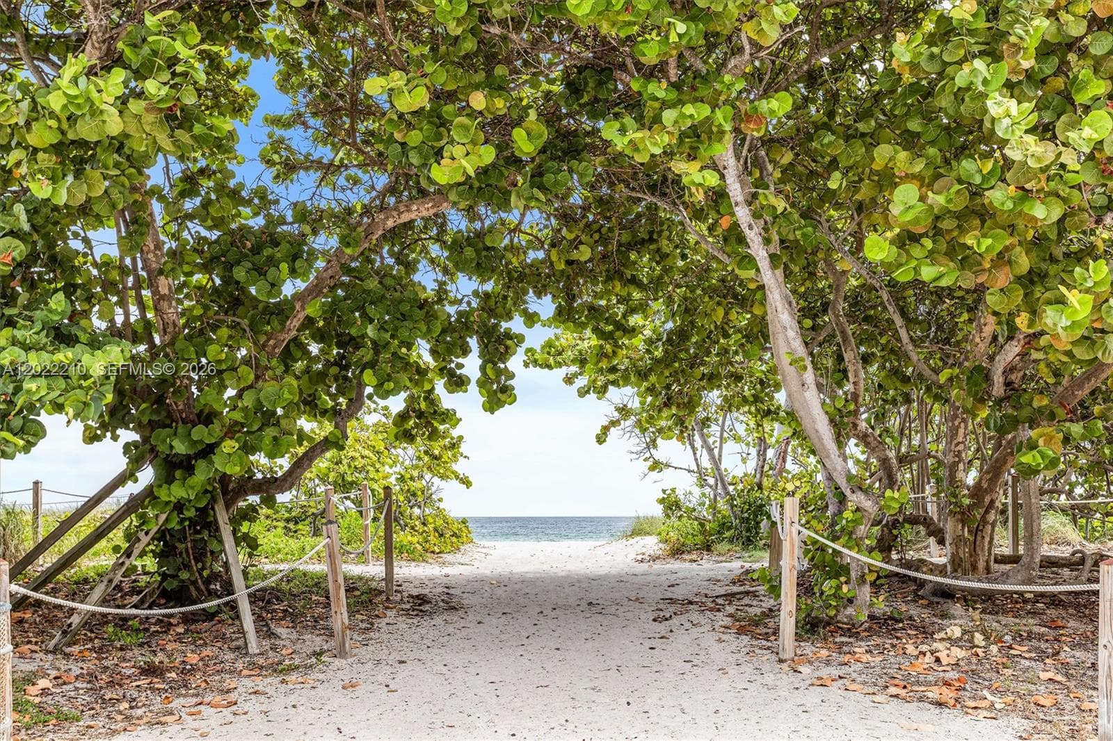 9195 NE Collins Ave # 1104, Surfside FL 33154 — 30