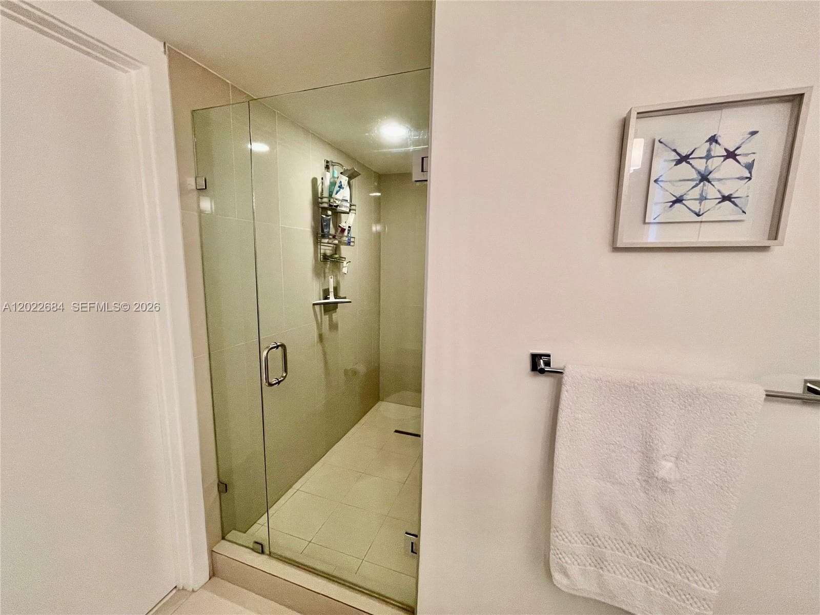 5252 NW 85th Ave # 406, Doral FL 33166 — 12