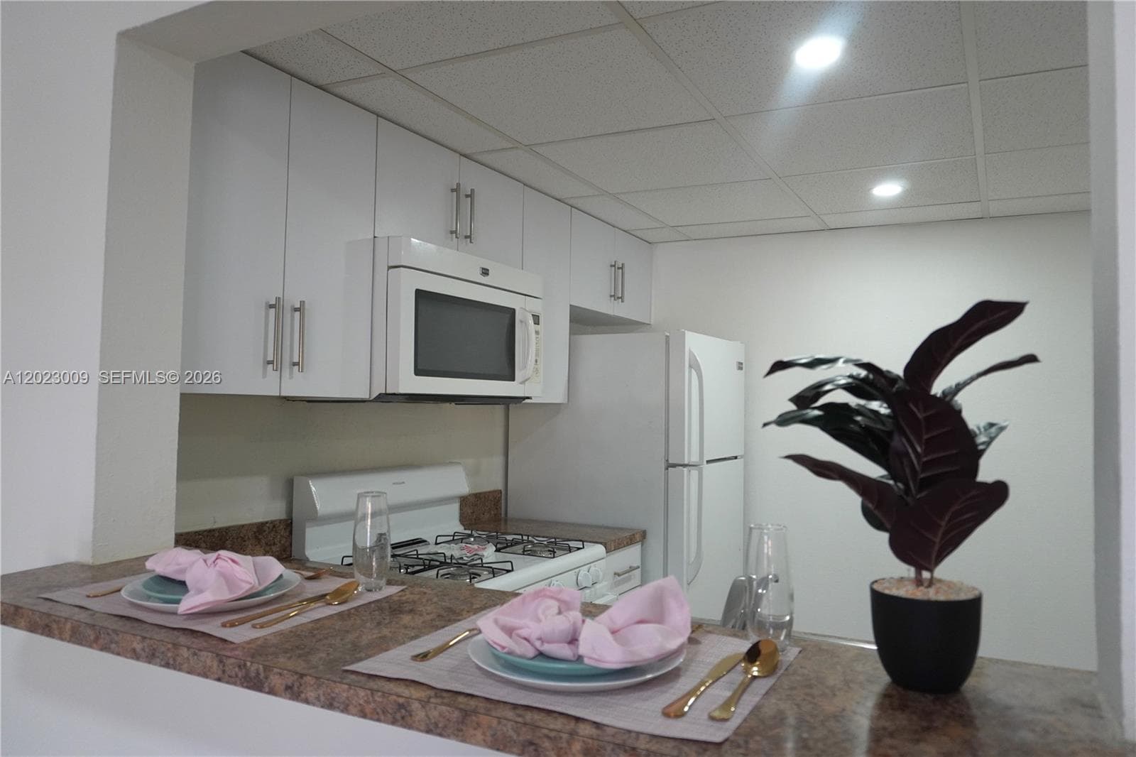 17901 NW 68th Ave # S204, Hialeah FL 33015 — 1