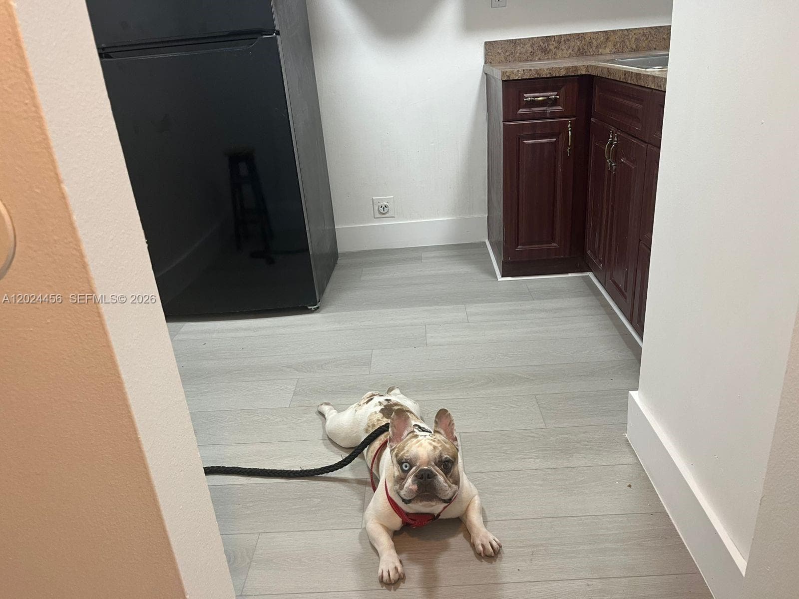 484 NW 165th St Rd # 111, Miami FL 33169 — 19