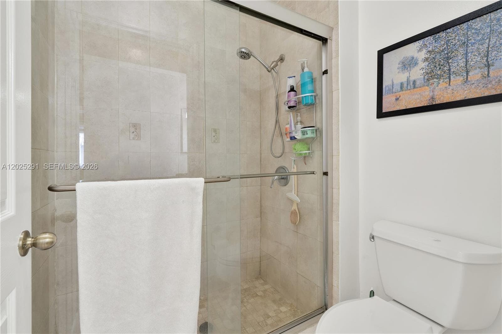 10006 SW 162nd Path, Miami FL 33196 — 22
