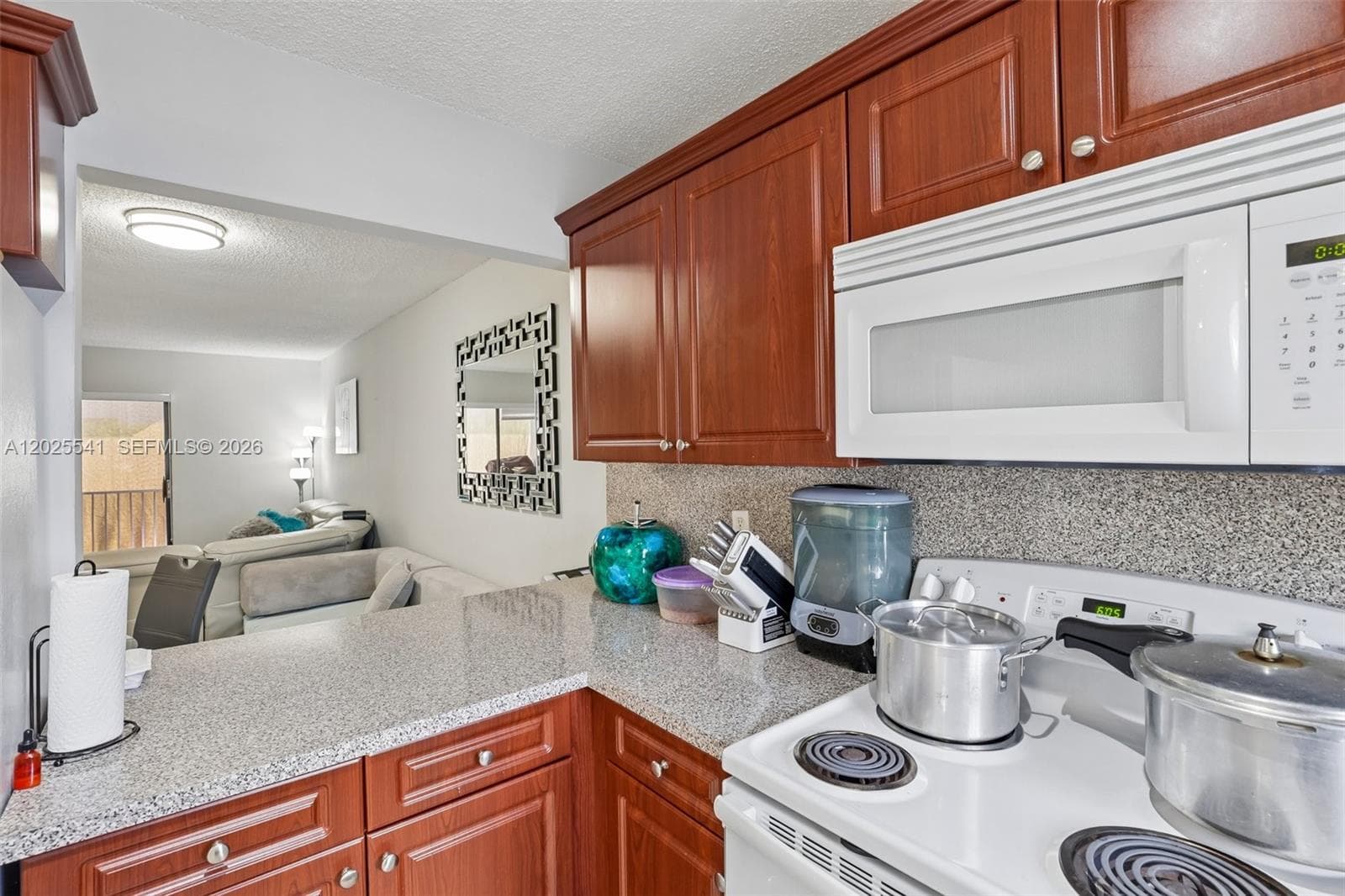 6041 W 24th Ave # 103, Hialeah FL 33016 — 13