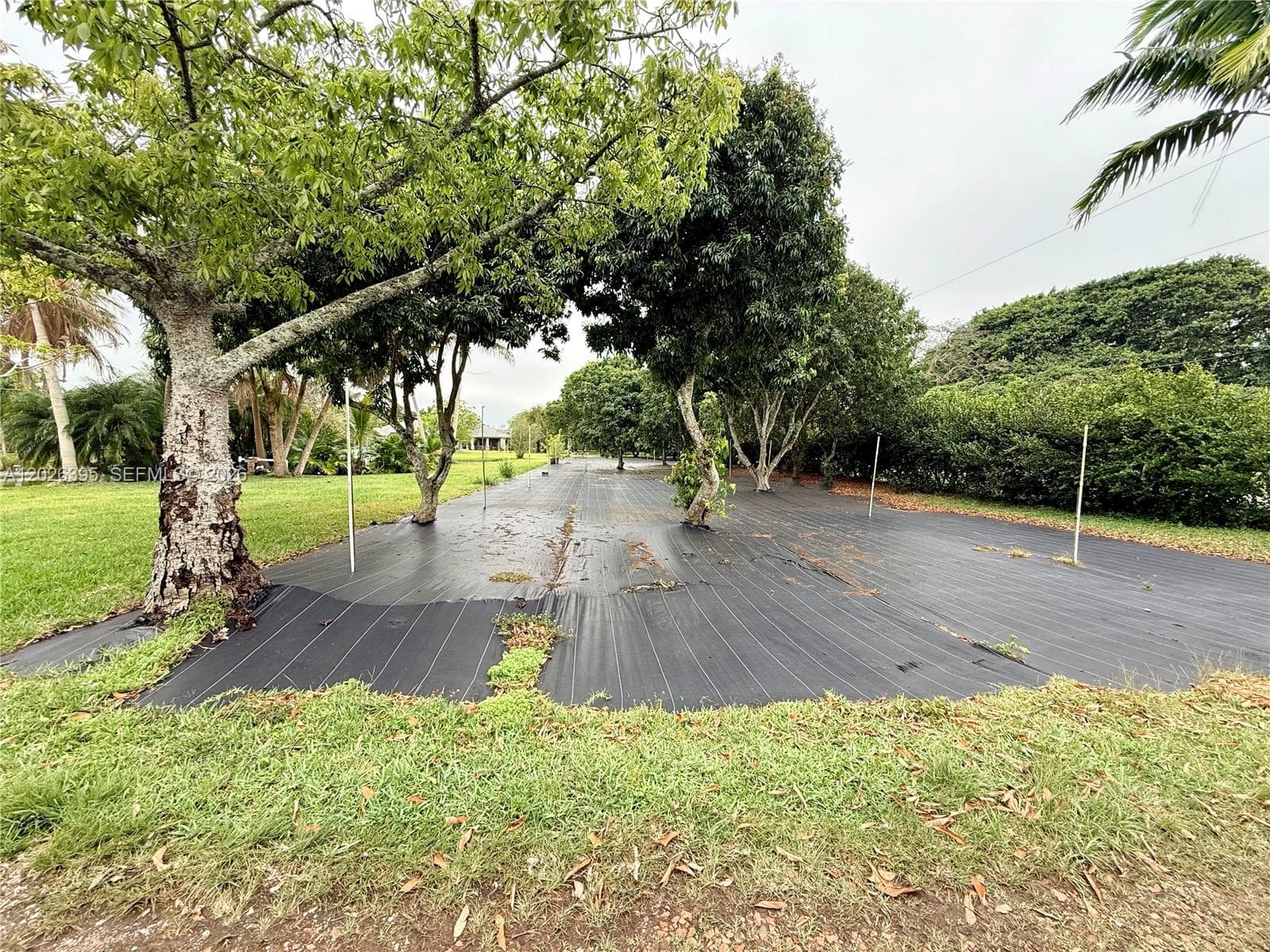 Shangrila, Homestead, FL — 37