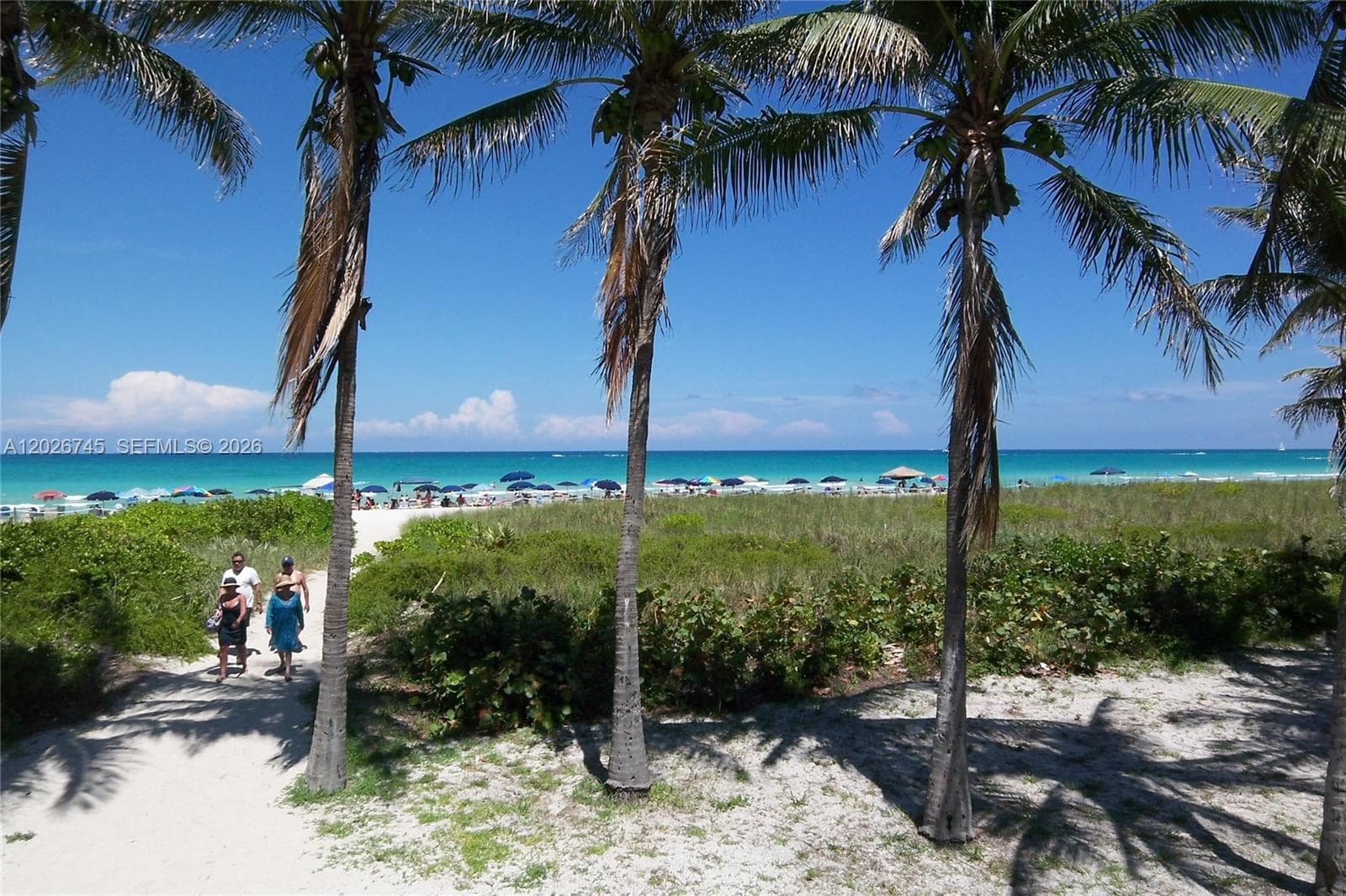 5151 Collins Ave # 519, Miami Beach FL 33140 — 58