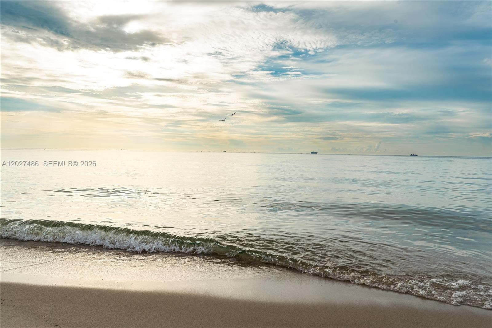 2655 Collins Ave # 603, Miami Beach FL 33140 — 6