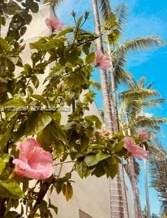 928 Euclid Ave # 2, Miami Beach FL 33139 — 21