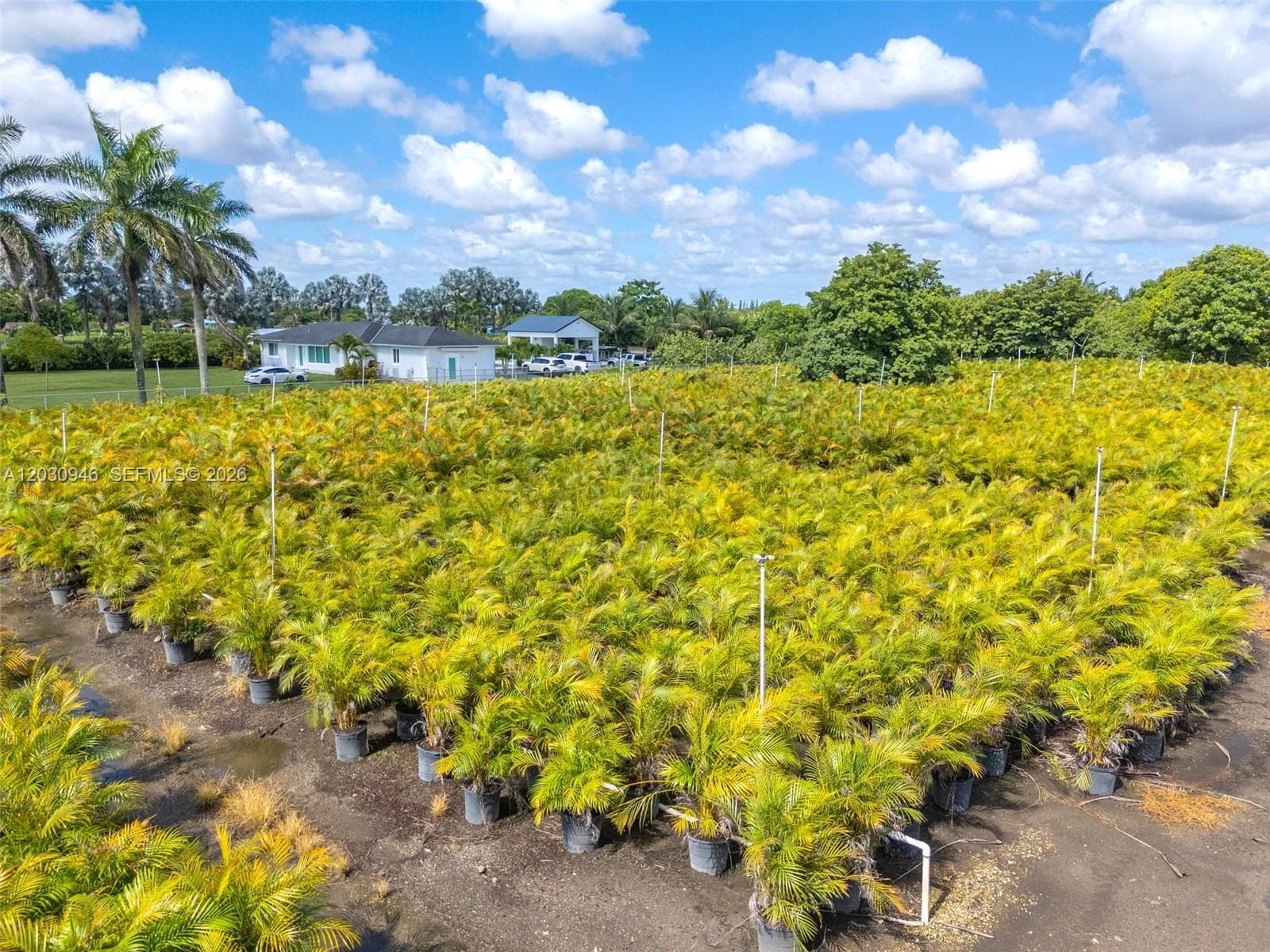208 st SW 198 av, Miami FL 33187 — 5