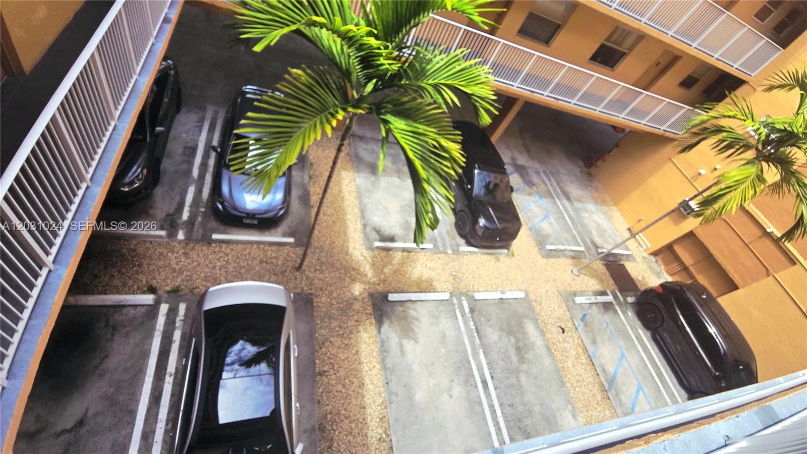 2441 SW 31st Ave # 207, Miami FL 33145 — 66