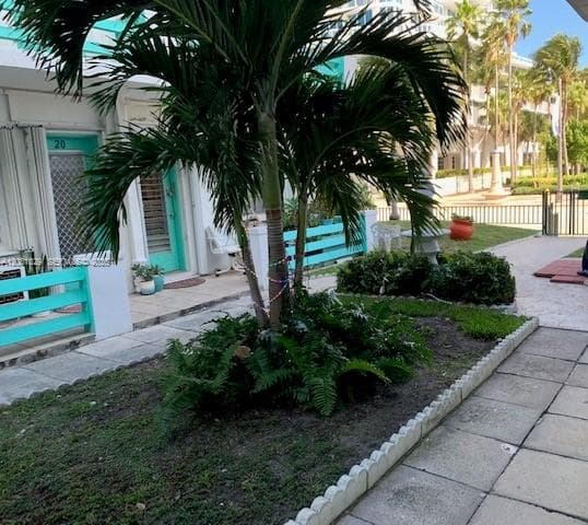 6490 Collins Ave # 3, Miami Beach FL 33141 — 9