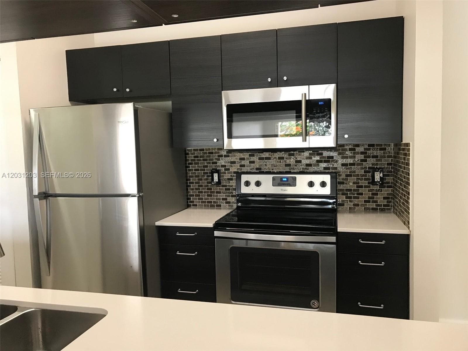 15780 SW 106th Ter # 306, Miami FL 33196 — 4