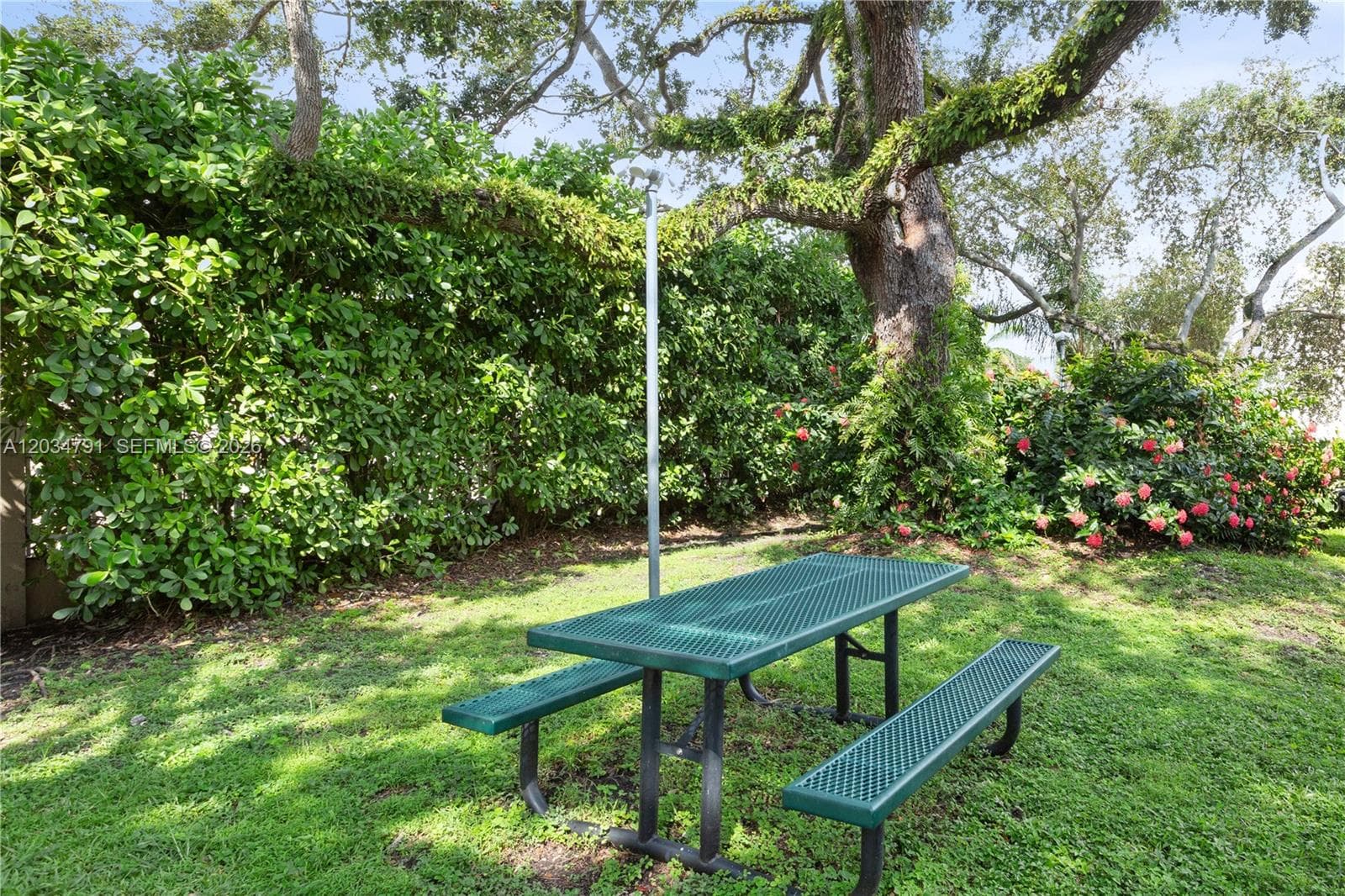 3130 Bird Ave # 3, Miami FL 33133 — 26
