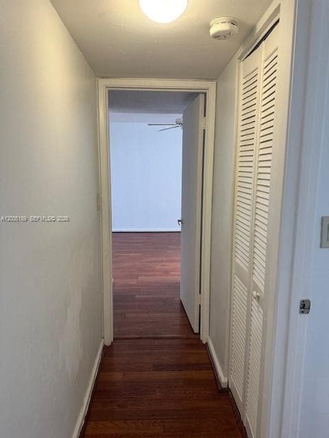Pinebark Condo No 3, Miami, FL — 17